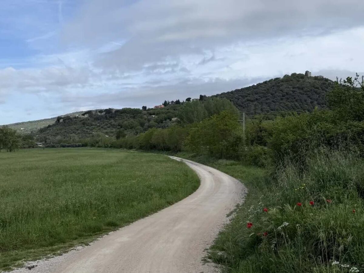 Percorsi a Piedi Trasimeno - Casa Vacanze Trasimeno